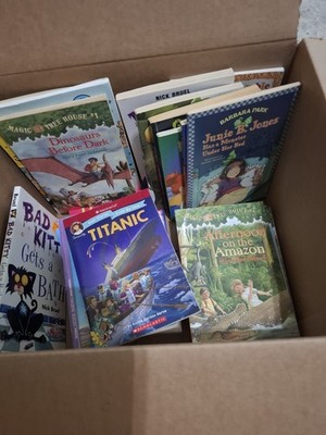 Instant Classroom Library Lot of 25 Children Kid Chapter Books  Random Selection