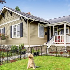 5PCS Metal Garden Fence Flower Leaves Panels Backyard Border Gate Animal Barrier