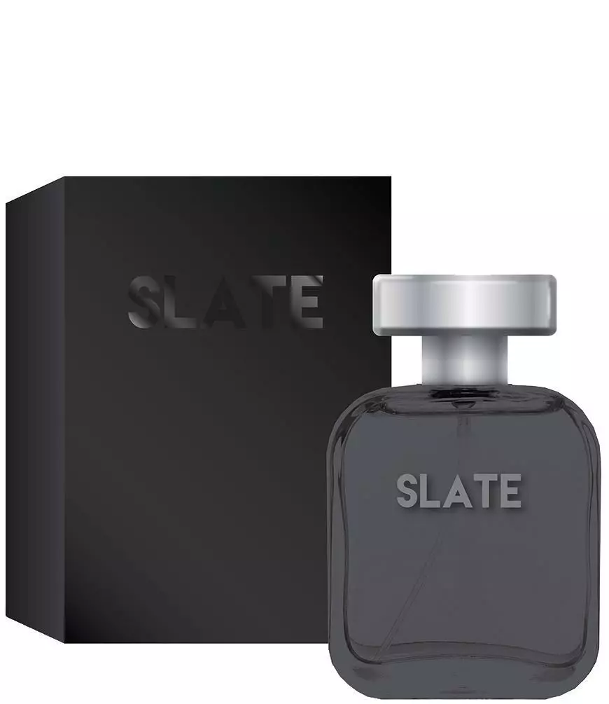 SLATE men s designer cologne 3.4 oz EDT spray by Preferred