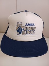Vintage Ames Grain Hog Snapback Truckers Cap Hat