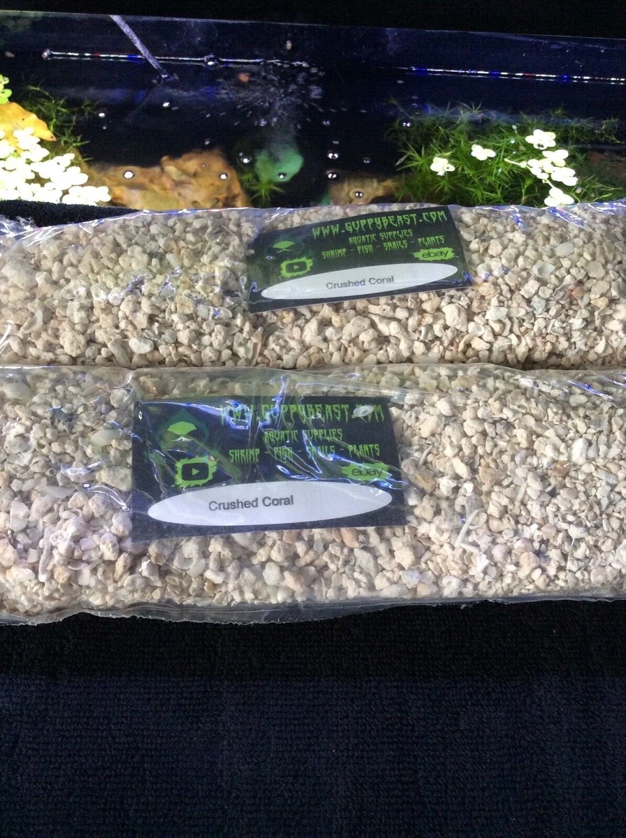 How Much Crushed Coral For A 20g Tank? My Aquarium Club, 52 OFF