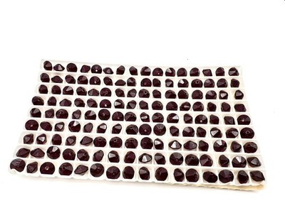 Factory Pack Vintage  Swarovski Crystal Siam 7mm Flat Bicone 5307 Beads; 144pcs