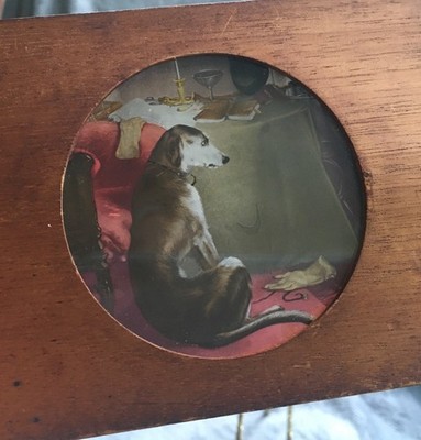 Antique Magic Lantern Slide Old Hunting Dog at Master s Table