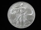 2005 American Silver Eagle 1-ounce Fine Silver Dollar Uncirculated #5 NICE!