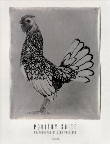 Poultry Suite: Photographs by Jean Pagliuso by Jean Pagliuso [Hardback]