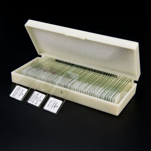 25-200pcs Glass Prepared Microscope Slides Specimen for Education w/ Box - Picture 3 of 34