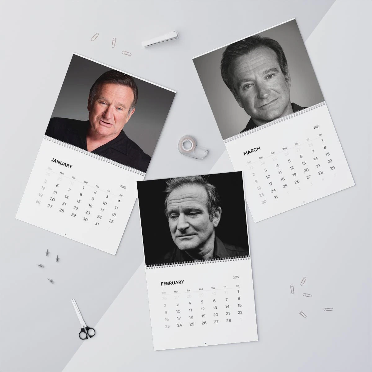 Robin Williams 2025 Wall Calendar