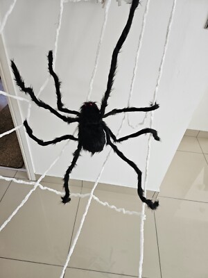 Halloween Lichtprojektoren, 3 Schachteln Kürbislicht, Riesen Spinnennetz, Skelett 