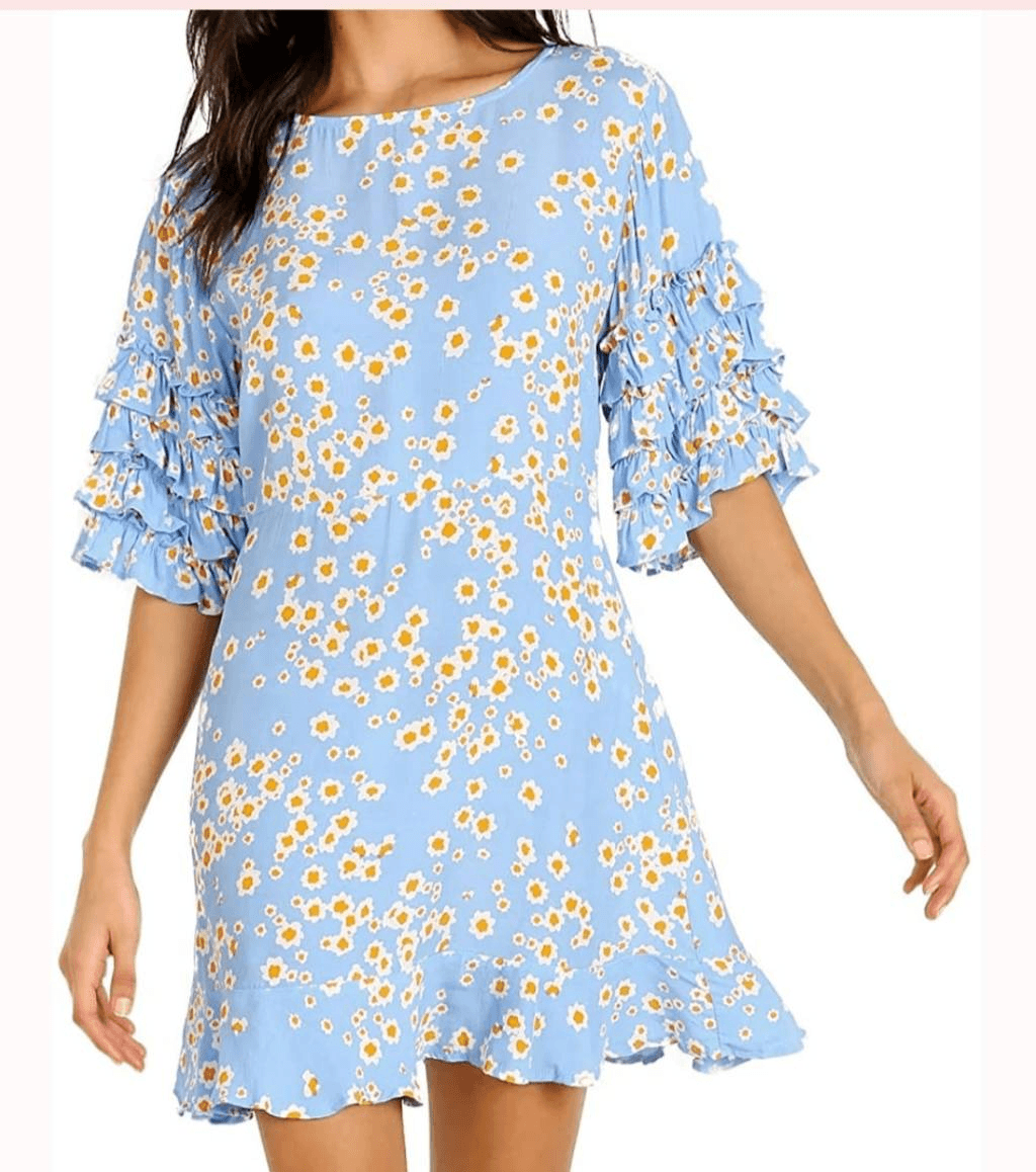 knee length dresses for ladies Serafina Floral Embroidered Mini Dress main image 1