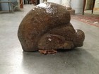 Bild 3 von 8