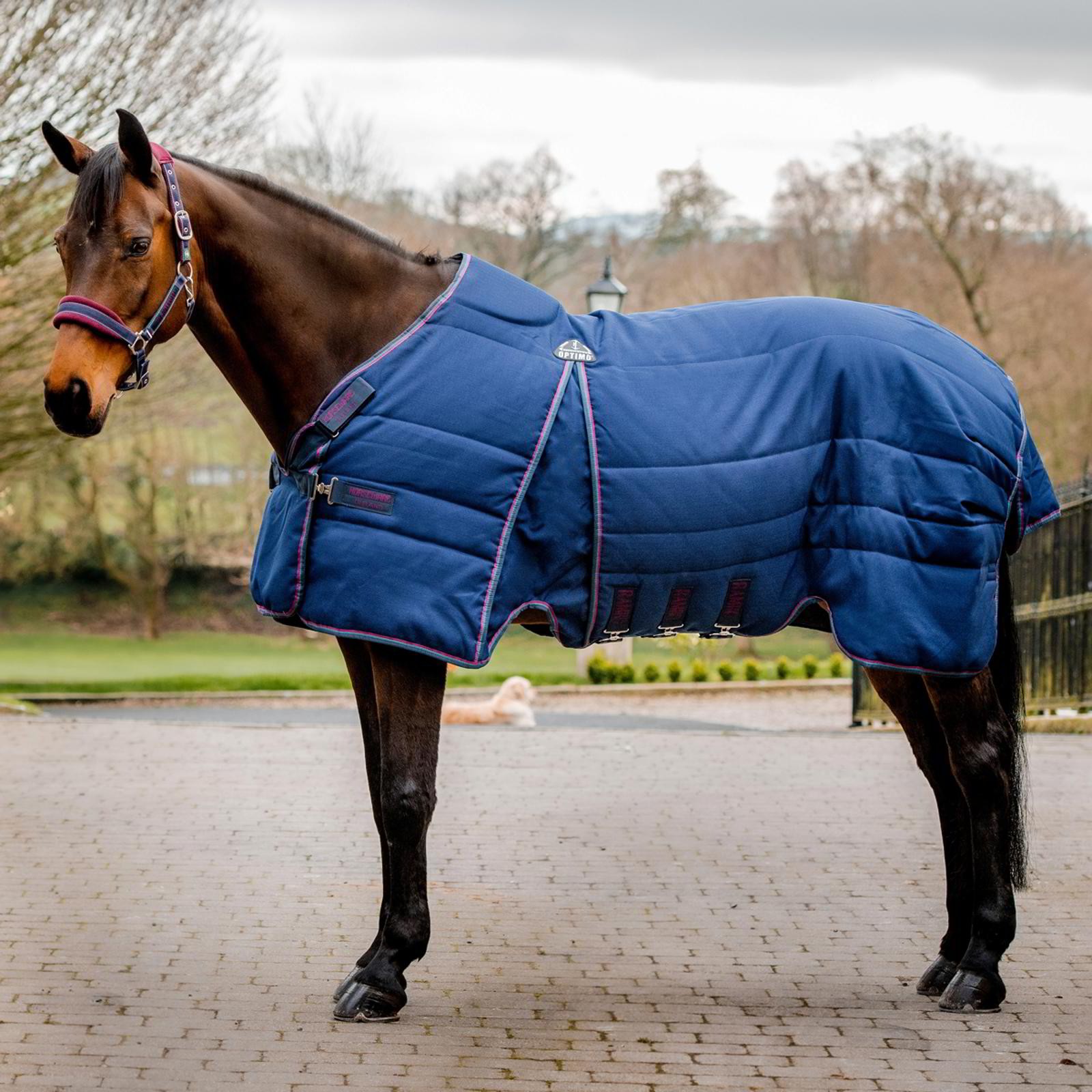 Horseware Rambo Optimo 200g Mediumweight Horse Stable Rug - Navy/Burgundy