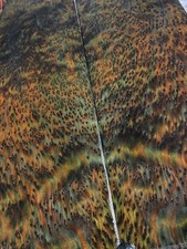 Green Redwood burl dyed  stabilized top guitar top wood bass figured wood