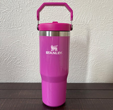 Limited Edition Stanley Punch Shimmer H2.0 30...