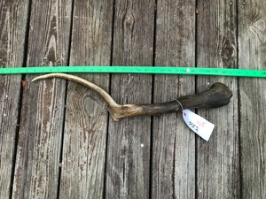 Kansas City hookup site