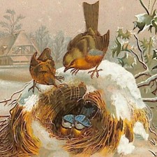 1880-90's Victorian Trade Card Simon Baking Soda Scranton, PA Winter Birds Nest