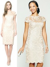Tadashi Shoji Illusion Sequin Paillette Lace Jute Cap Sleeve Dress 12 328