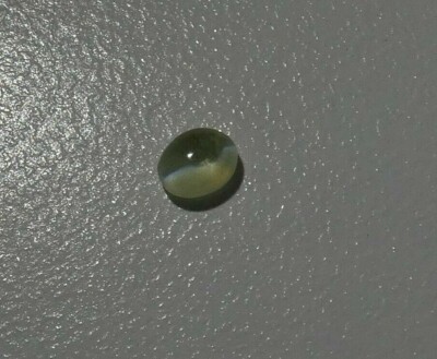 Cabochon En Crisoberille Naturelle œil De Chat – 0.49 Ct, Vert, Taille Cabochon – Sri Lanka, Non Traité