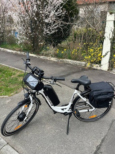 E-BIKE 36V-250W-864Wh-26Zoll - Bild 1 von 11