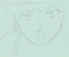 The Twelve Kingdoms Juuni Kokki Genga Douga Original Sketches Pierrot - Youko — photo 3