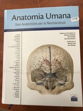 AA.VV-KIT ANATOMIA UMANA BASATO SUL PROMETHEUS