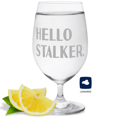 Hello Stalker 16601002090
