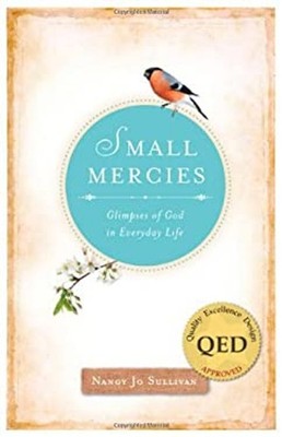 Small Mercies : Glimpses of God in Everyday Life Paperback Nancy
