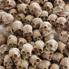 40PCS Mini Halloween Skulls, Resin Skeleton Heads for Party Decorations  0.8