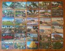 Vintage Lot 30 Florida Linen Postcards Unposted  botanical landscape sleeved