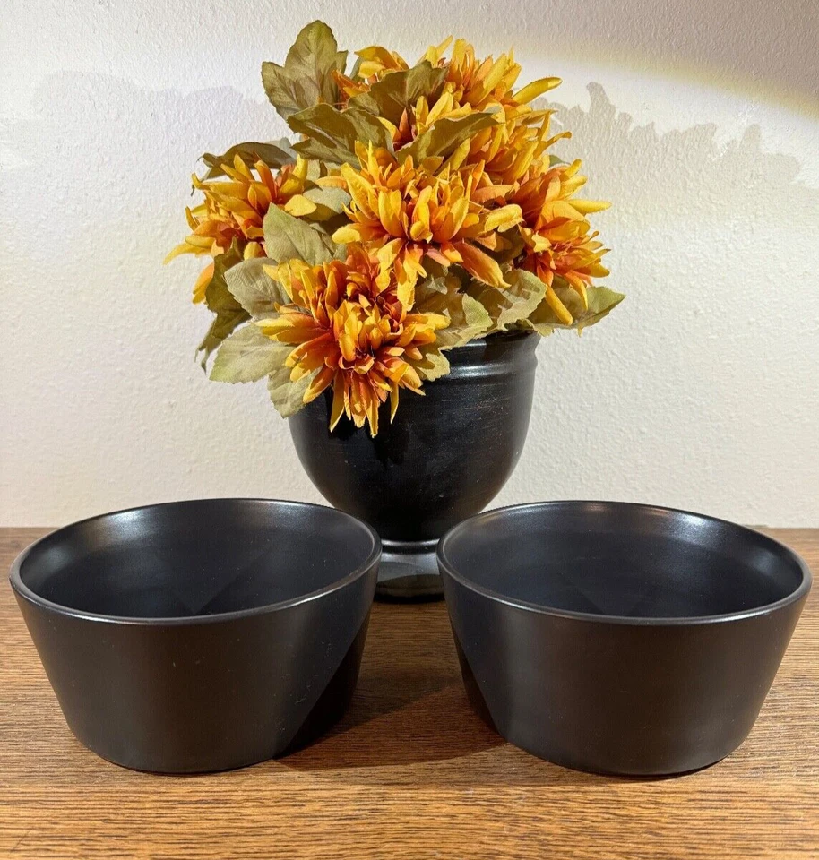 Stone + Lain Black Bowls Set of 2 Dinnerware Modern Ledge Stoneware Matte EUC - Image 2 of 4
