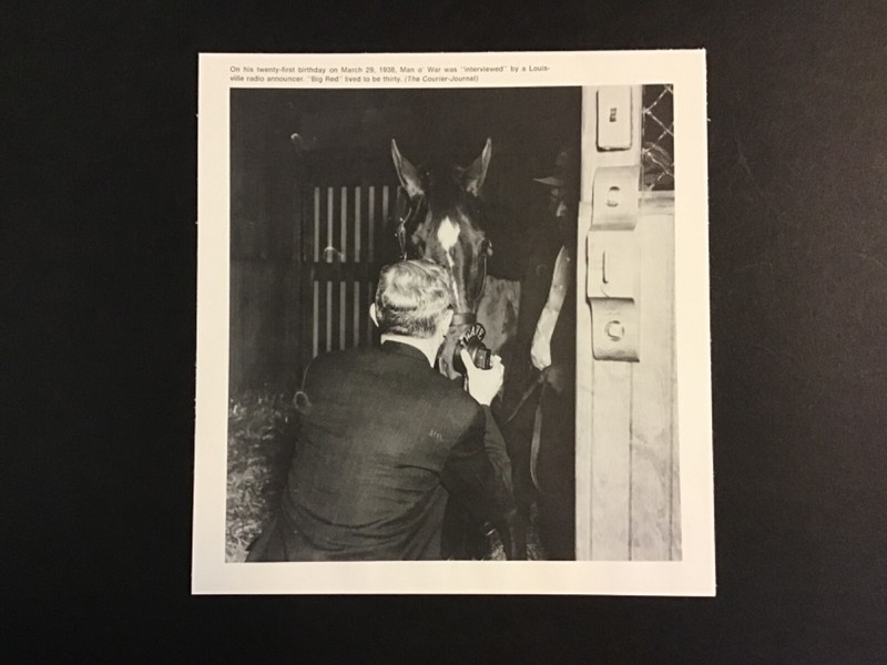 MAN O’ WAR Horse Racing 21st BIRTHDAY