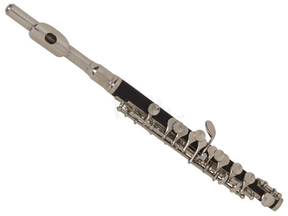 GRASSI SFL250 FLAUTO PICCOLO OTTAVINO IN DO Testata ARGENTATO con astuccio - Immagine 3 di 3