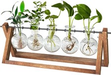 Plant Terrarium with Wooden Stand, Desktop Propagation Stations Glass Air