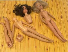 Vintage Pedigree Sindy Body Parts All TLC For Spares Or Repairs