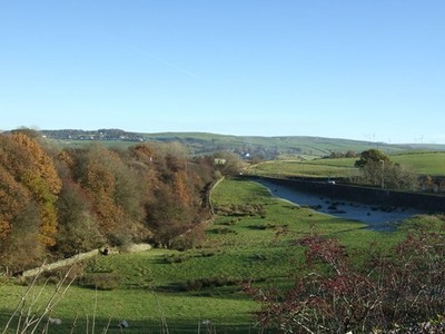 Photo 6x4 Grazing off Burnley Road Beside the railway embankment. c2016