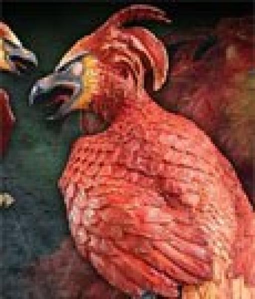 Thumbnail - Harry Potter Statue Fawkes Der Phoenix 35 Cm