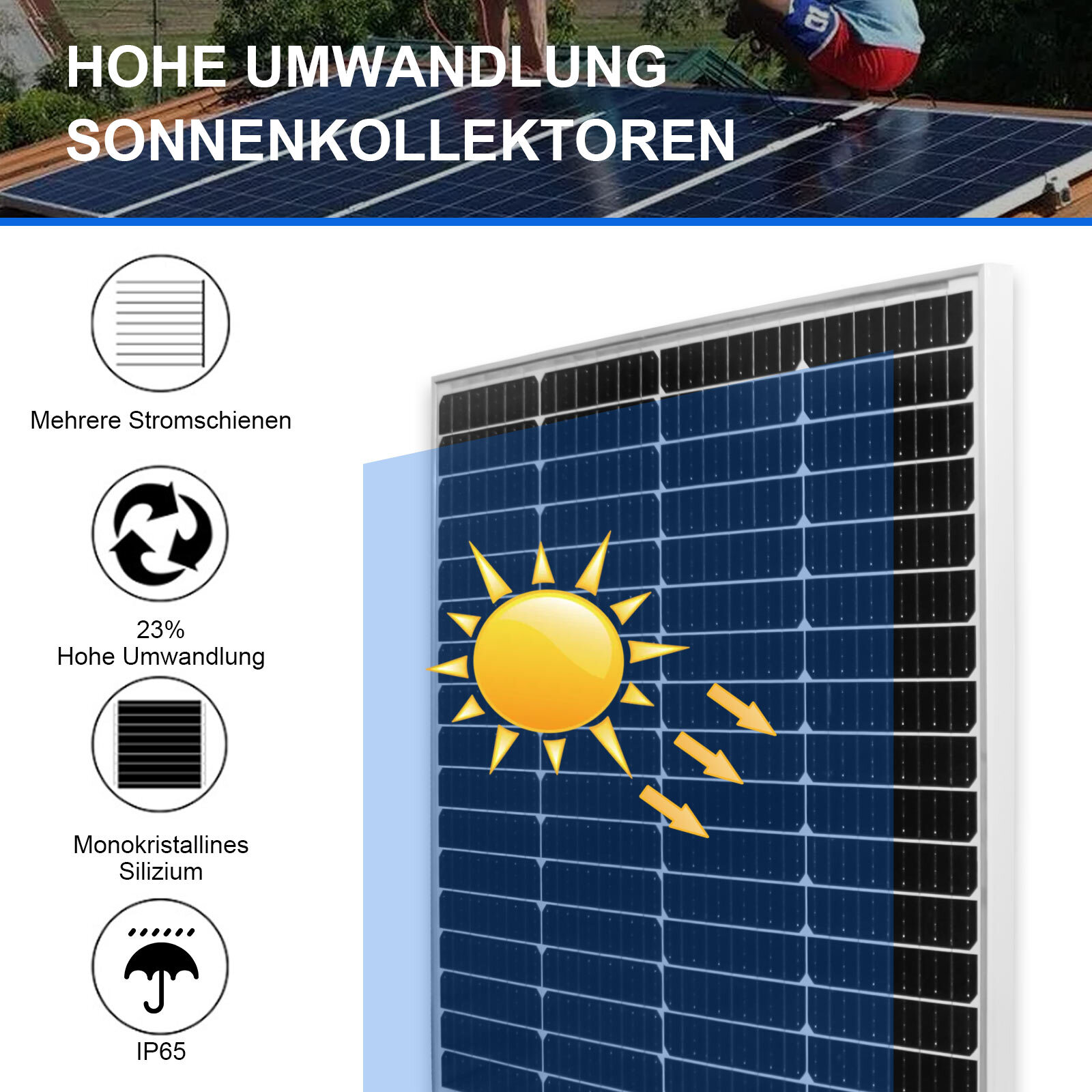 Bild 12 von 14