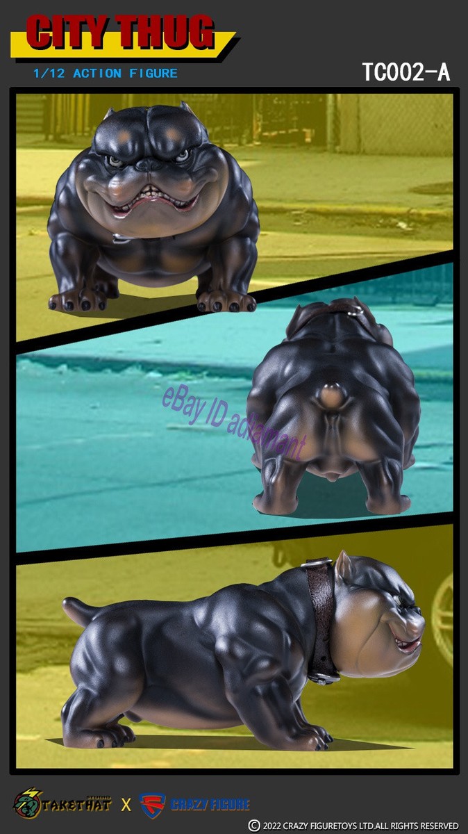 TAKETHAT X CRAZY FIGURE CITY THUG 1/12 Action Figure Model In