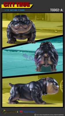 TAKETHAT X CRAZY FIGURE CITY THUG 1/12 Action Figure Model In
