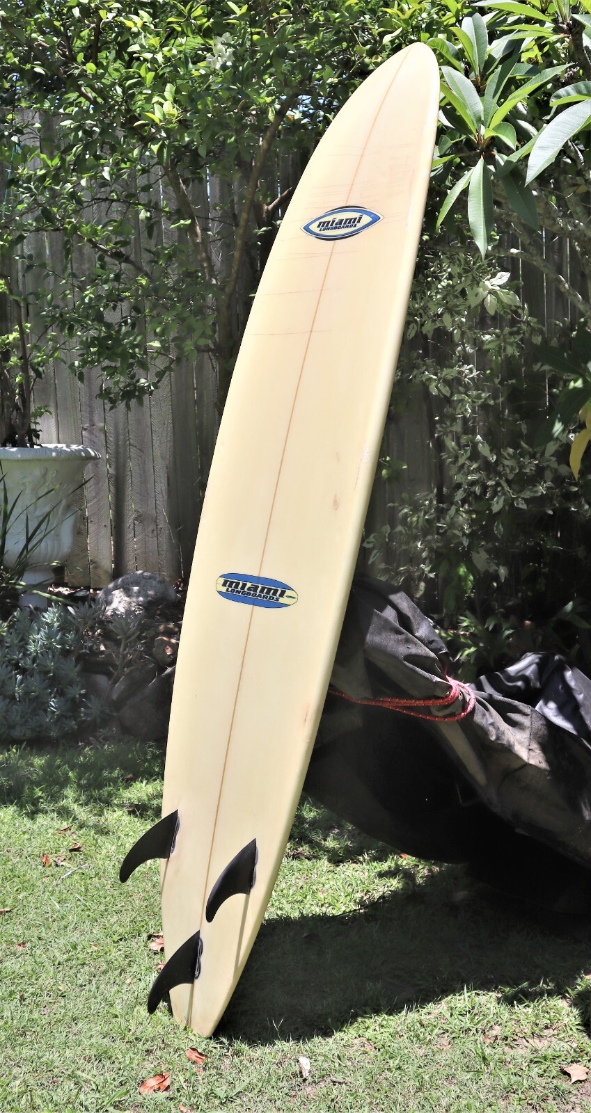 Custom Surfboard / Longboard eBay