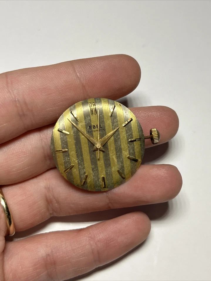 Movimiento Reloj Suizo Hombre EBEL 5 Posiciones 17J Automático Foto 3 de 4