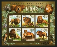 Hoja de estampillas de Sierra Leona 2015 leones fauna de África Occidental MNH #14158