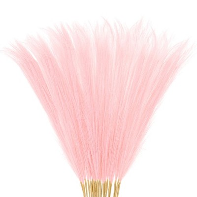 20pcs 21.7 Inch Synthetic Pampas Grass for Decor [Light Pink]