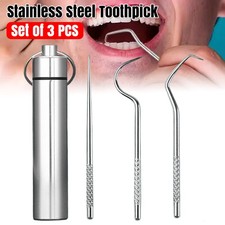 3PCS Toothpick Set Metal Stainless Steel Oral Tooth Cleaning with Storage Tube