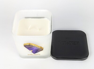 Bloom & Prosper Lavender Lilac & Amethyst 2 wick Luxury Candle 12 oz