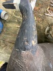 vintage (BIG) canadian goose wood decoy 50's — photo 7