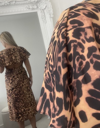 Asos design petite leopard dress size 12 - Picture 2 of 6