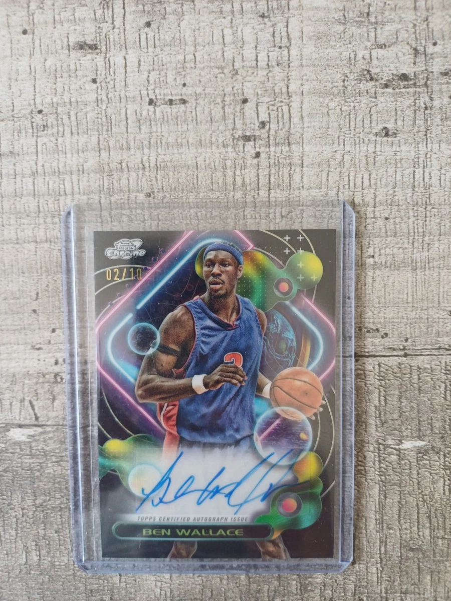 National Basketball Association (NBA) Ben Wallace Basketball