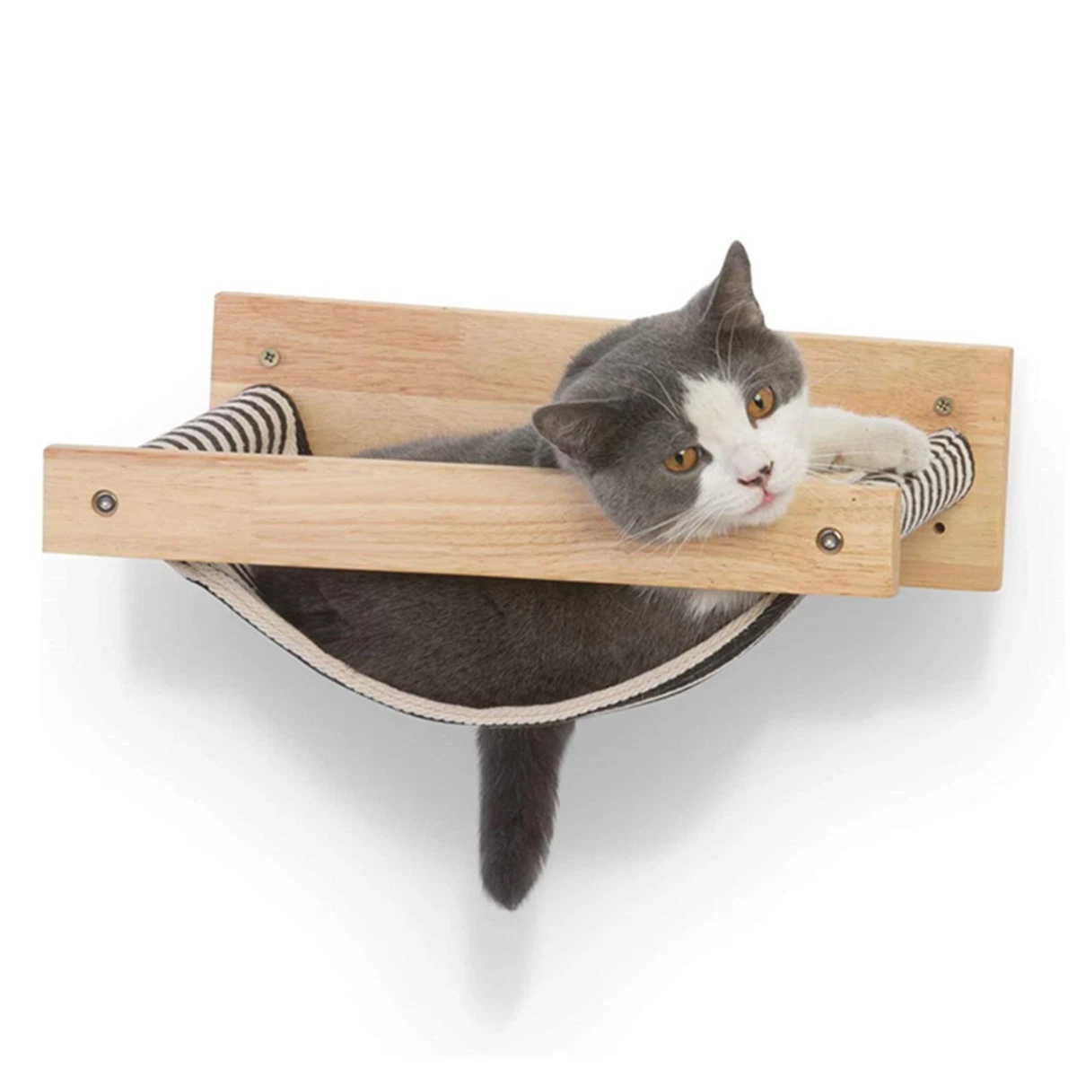 Hanging cat shelves 2025