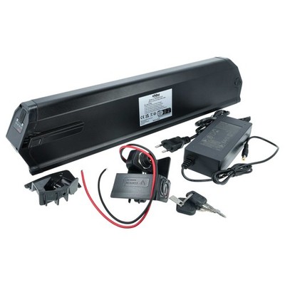 E-Bike Akku für Proxy Cycle Hydro Fleuron / Fleuron 2.0 Boomer 48V 10,4Ah + Lade