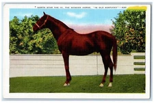 c1930's North Star The III, The Wonder Horse In Old Kentucky KY Vintage Postcard
